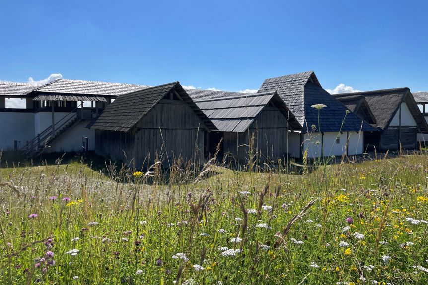 Heuneburg – Stadt Pyrene, außen, Heuneburg und Blühwiese