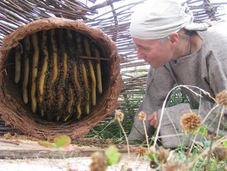 Heuneburg, Imkerei zur Keltenzeit, Bienenstock 