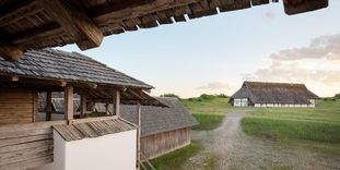 Luftaufnahme Lehmziegelmauer Heuneburg