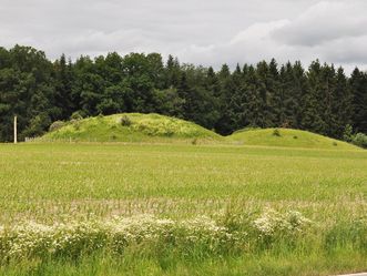 Grabhügel im Umfeld der Heuneburg - Stadt Pyrene