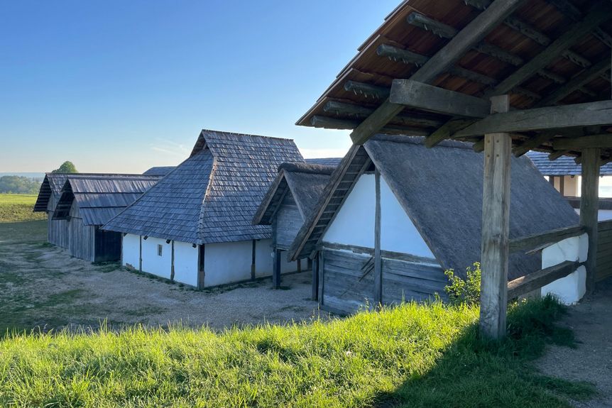 Heuneburg – Stadt Pyrene, Wohnhäuser