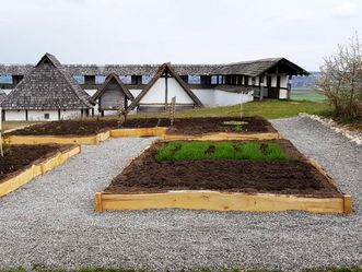 Heuneburg - Stadt Pyrene, Keltische Pflanzenwelt