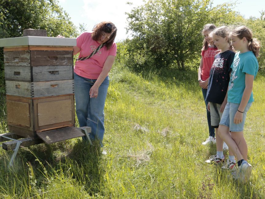 Eine Imkerin erklärt jungen Besucherinnen der Heuneburg wo die Bienen wohnen.