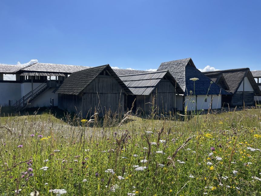 Blühende Wiese im Außenbereich des Freilichtmuseums der Heuneburg – Stadt Pyrene. Dahinter Rekonstruktionen keltischer Häuser.