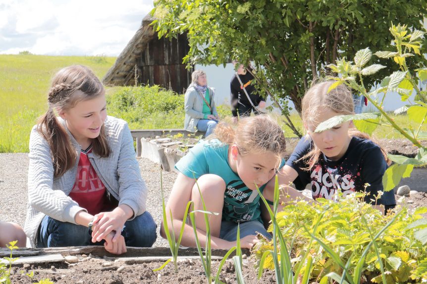 Kinder entdecken Pflanzen in einem Beet mit Kräutern auf der Heuneburg.