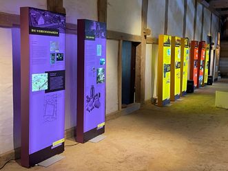Heuneburg – Stadt Pyrene, Ausstellung, Kelten in Baden-Württemberg